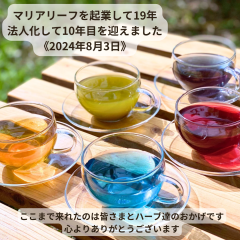 起業して１９年、法人化して１０年目を迎えました 〜 株式会社マリアリーフ（2024/08/03）