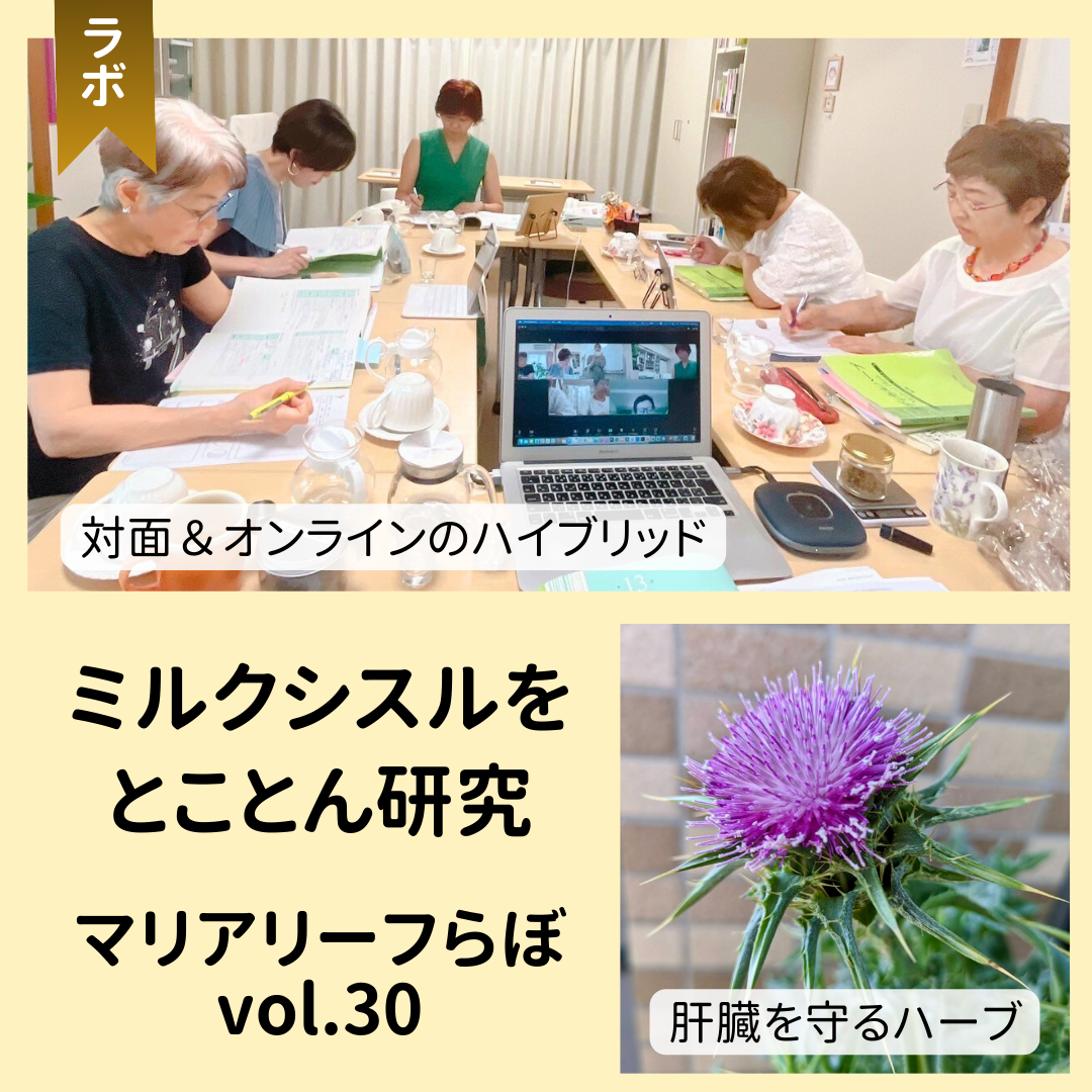 【8月のマリアリーフらぼ vol.30】ミルクシスルの魅力＆ハーブブレンド練習