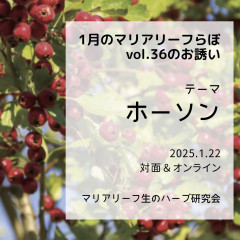 【毎月開催】1月のマリアリーフらぼ35 〜 テーマは『ホーソン』（2025/1/22）