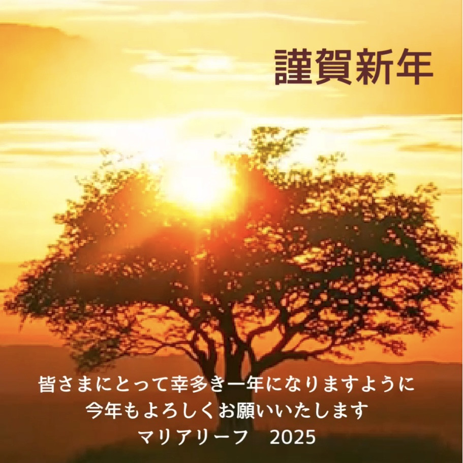 🎍謹賀新年🎍2025年🩷幸多き一年になりますように♪