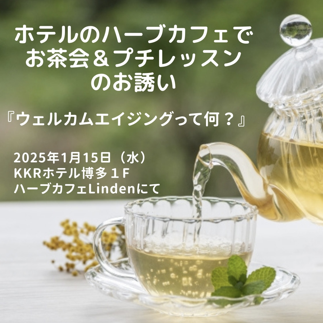 【募集】ホテルのハーブカフェでお茶会＆プチレッスンのお誘い🍷 KKRホテル博多「Linden」にて（2025/1/15）