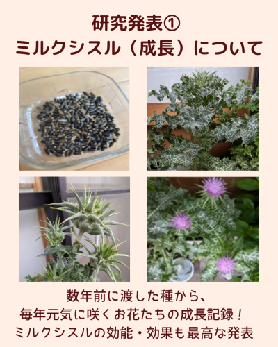 “発表会”って聞くとガチガチに緊張しそうやけど… マリアリーフラボはおやつ付きのほっこり空間です.zip - 2.png
