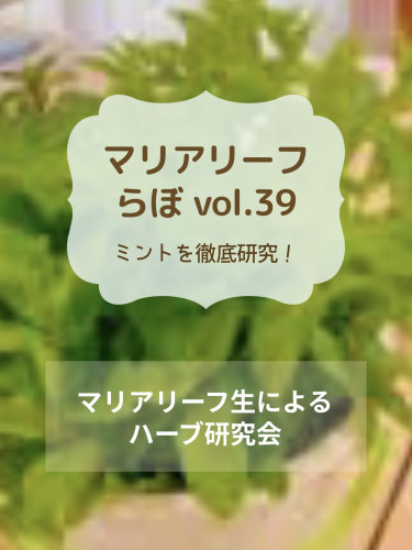 6種類のミントを徹底比較！香り・効能・違いを研究｜マリアリーフらぼvol.39
