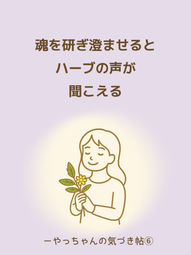 魂を研ぎ澄ませると、  ハーブの声が聞こえる。  ─ やっちゃんの気づき帖⑥