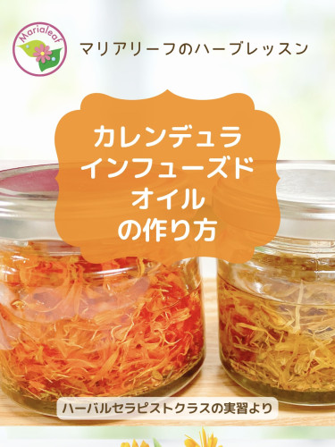 【レシピ付き】カレンデュラのインフューズドオイルの作り方と使い方｜肌を整える自然の恵み