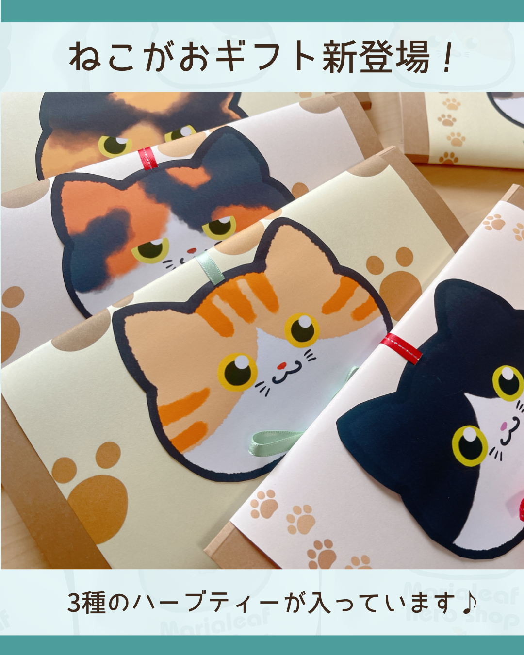 新作ギフト ねこがおギフト(3種のハーブティー入り)