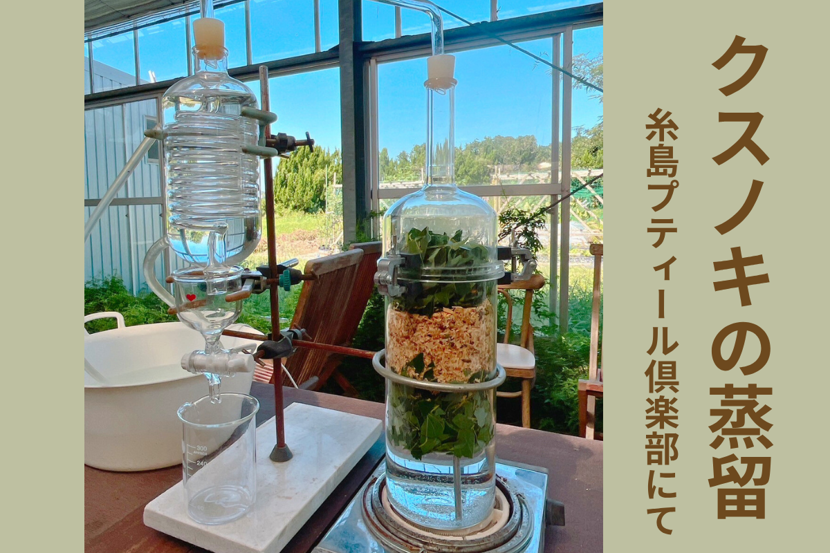 クスノキ蒸留会＆アロマクラフト体験レポ（福岡・糸島）