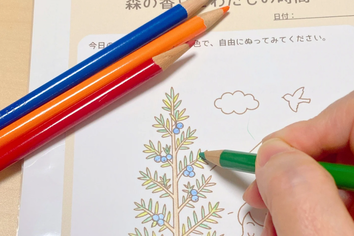 ハーブカードに色塗りしている様子