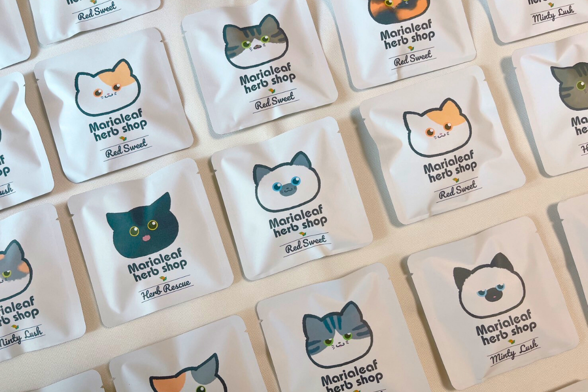 ねこがおギフトセット