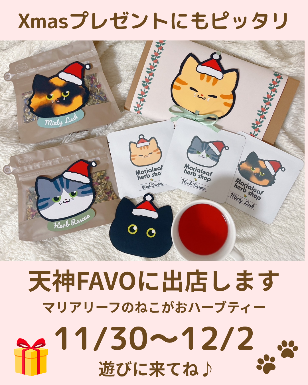 天神FAVO初出店｜ねこがおハーブティークリスマスギフト