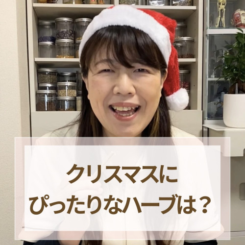 クリスマスの香りを運ぶハーブ｜シナモンの話