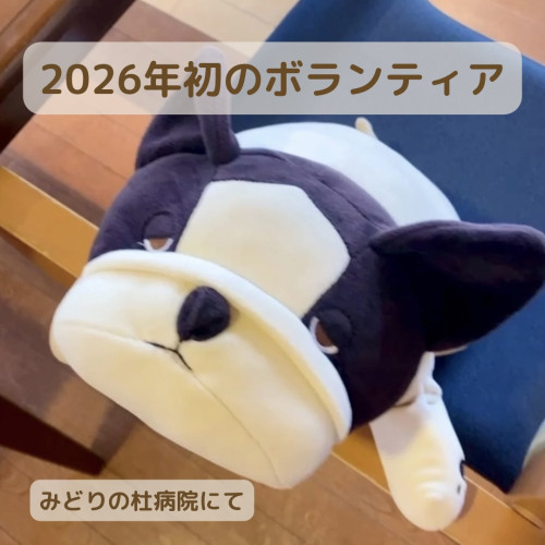 【ボランティア日記】2026年、感謝から始まる初仕事｜みどりの杜病院（24回目）