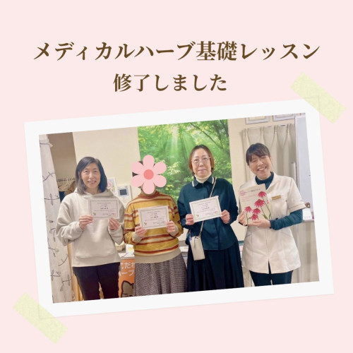 【開催レポ】メディカルハーブ基礎レッスン修了｜体感しながら学ぶ、やさしい2ヶ月