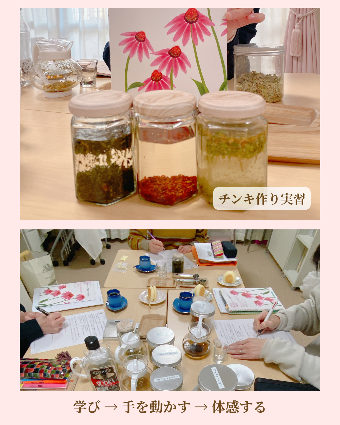 メディカルハーブ基礎レッスンの学びの様子