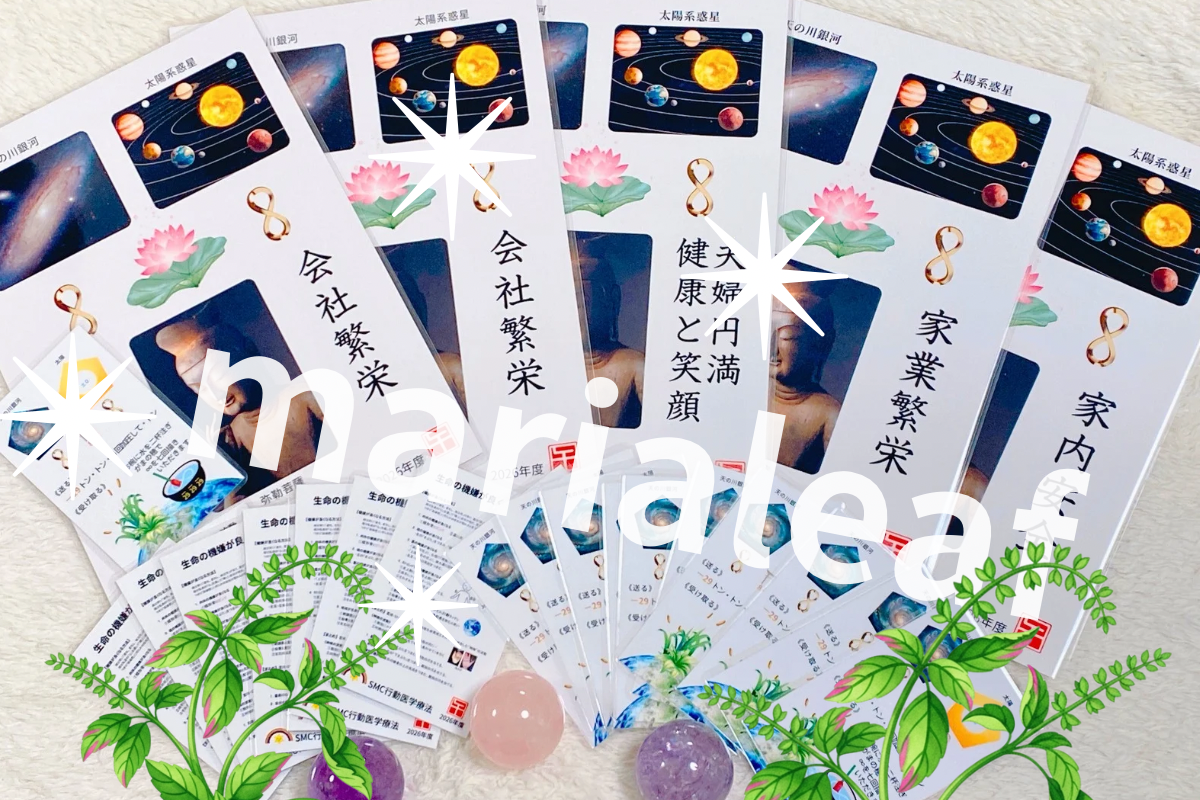 【活動レポ】2026年、新たな光とともに──SMC行動医学療法のカードとマントラ