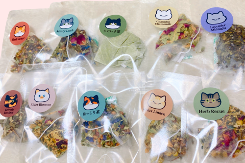 ハーバルセラピスト講座 早割プレゼント（お試しハーブティー）