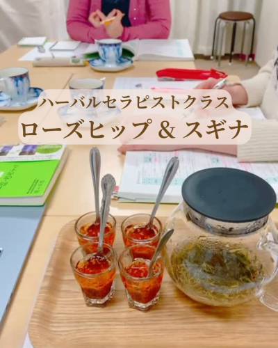 【講座レポ】植物美容とローズヒップ・スギナ｜日曜ハーバルセラピストクラス