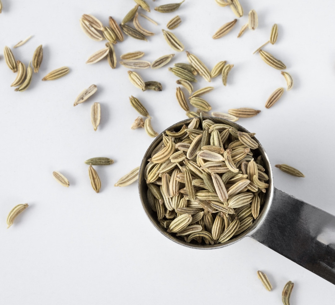 フェンネルシード