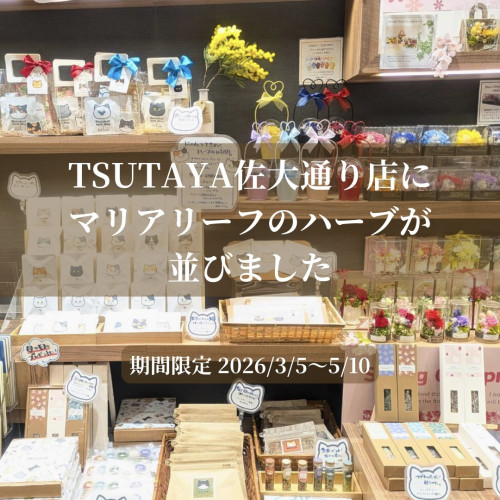 【お知らせ】TSUTAYA 佐大通り店（佐賀）にマリアリーフのハーブが並びました