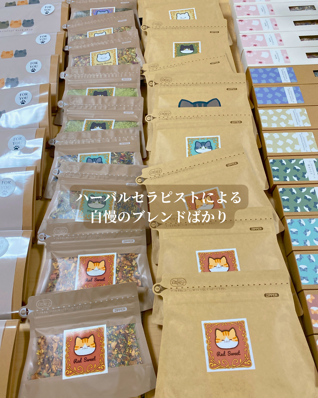 TSUTAYA佐大通店に並ぶマリアリーフのハーブティー