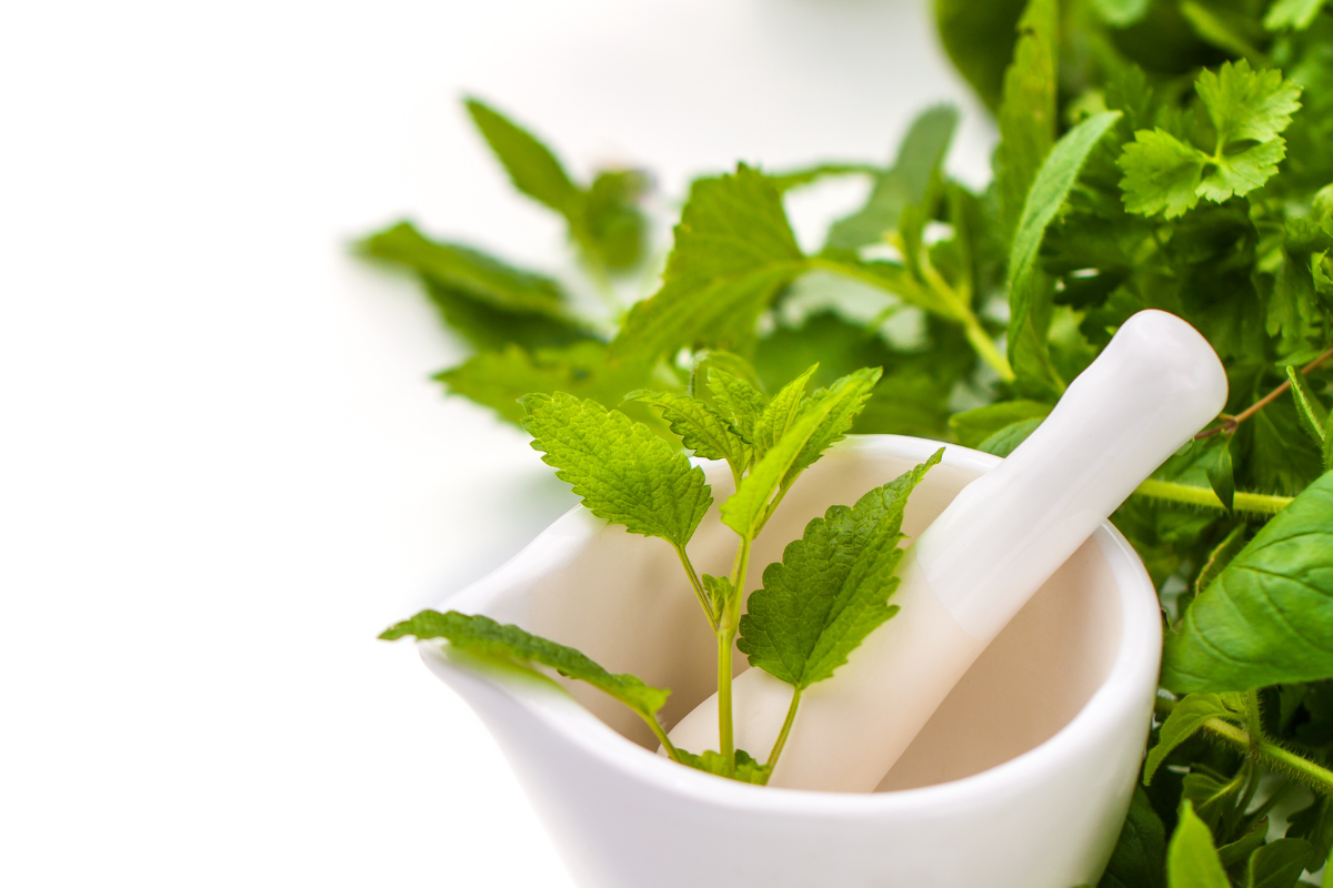 ハーブを暮らしに取り入れるイメージ