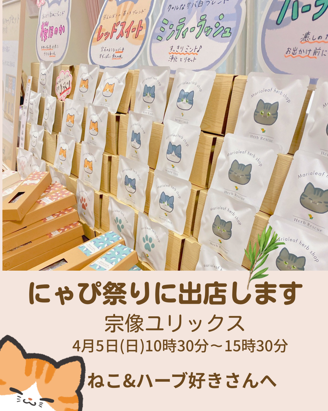 【マルシェ】宗像ユリックス「春のにゃぴ祭り」に出店｜ねこじるしハーブティーが並びます