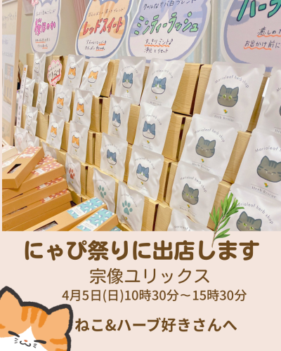 【マルシェ】宗像ユリックス「春のにゃぴ祭り」に出店｜ねこじるしハーブティーが並びます