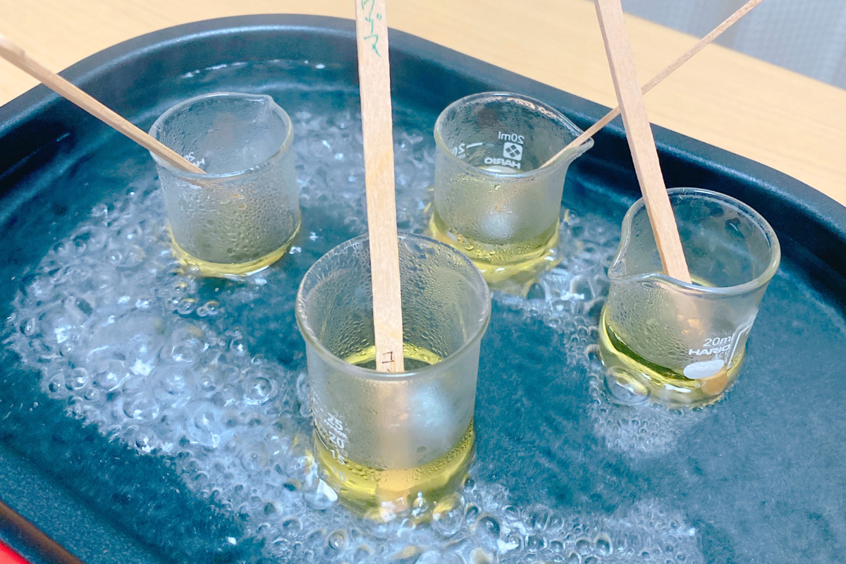 カレンデュラ実習の様子