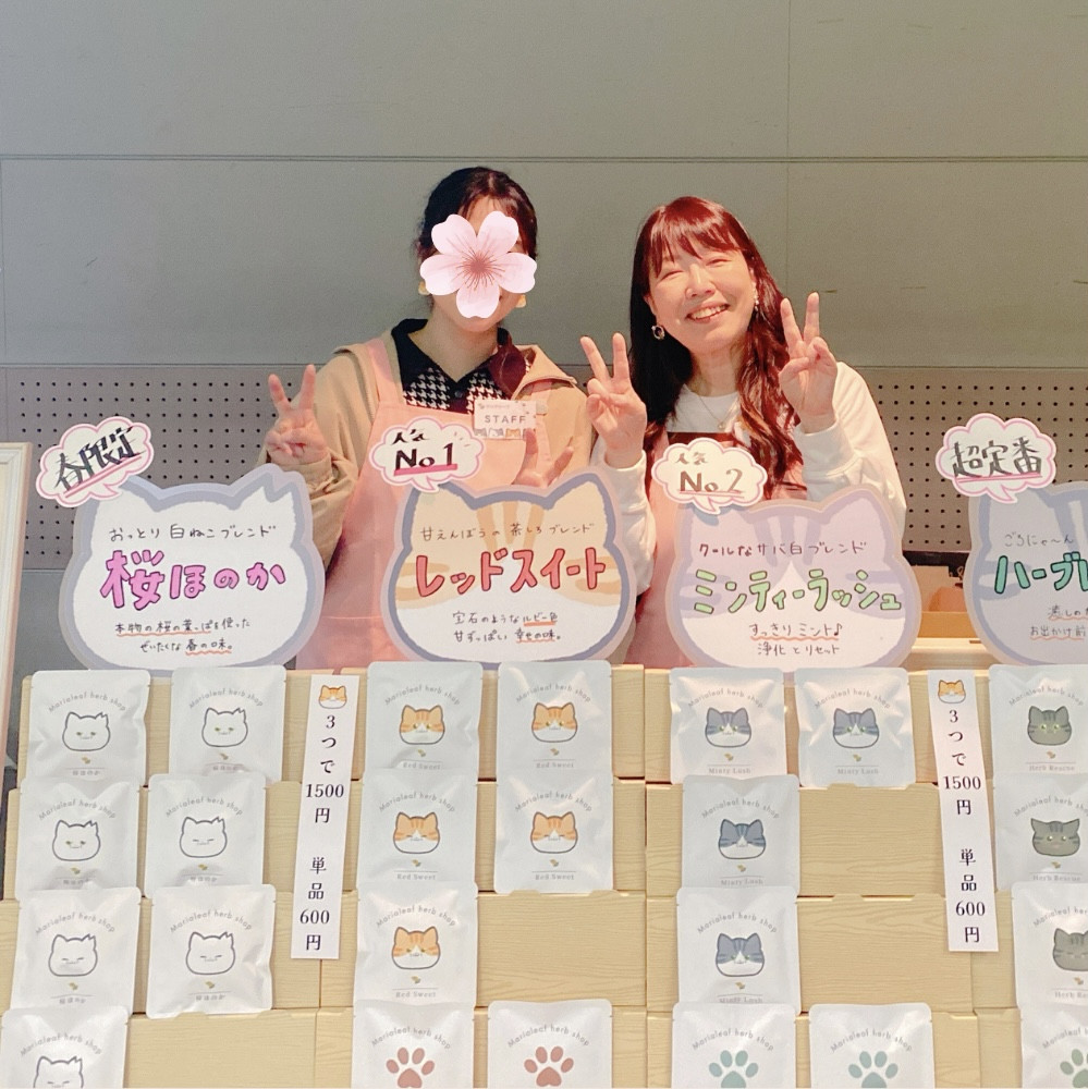 ねこじるしハーブティーと手書きポップ