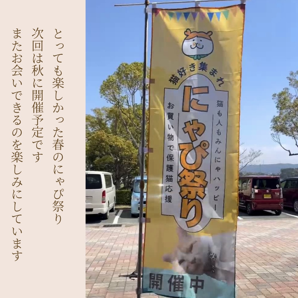 春のにゃぴ祭り ご来場ありがとうございました