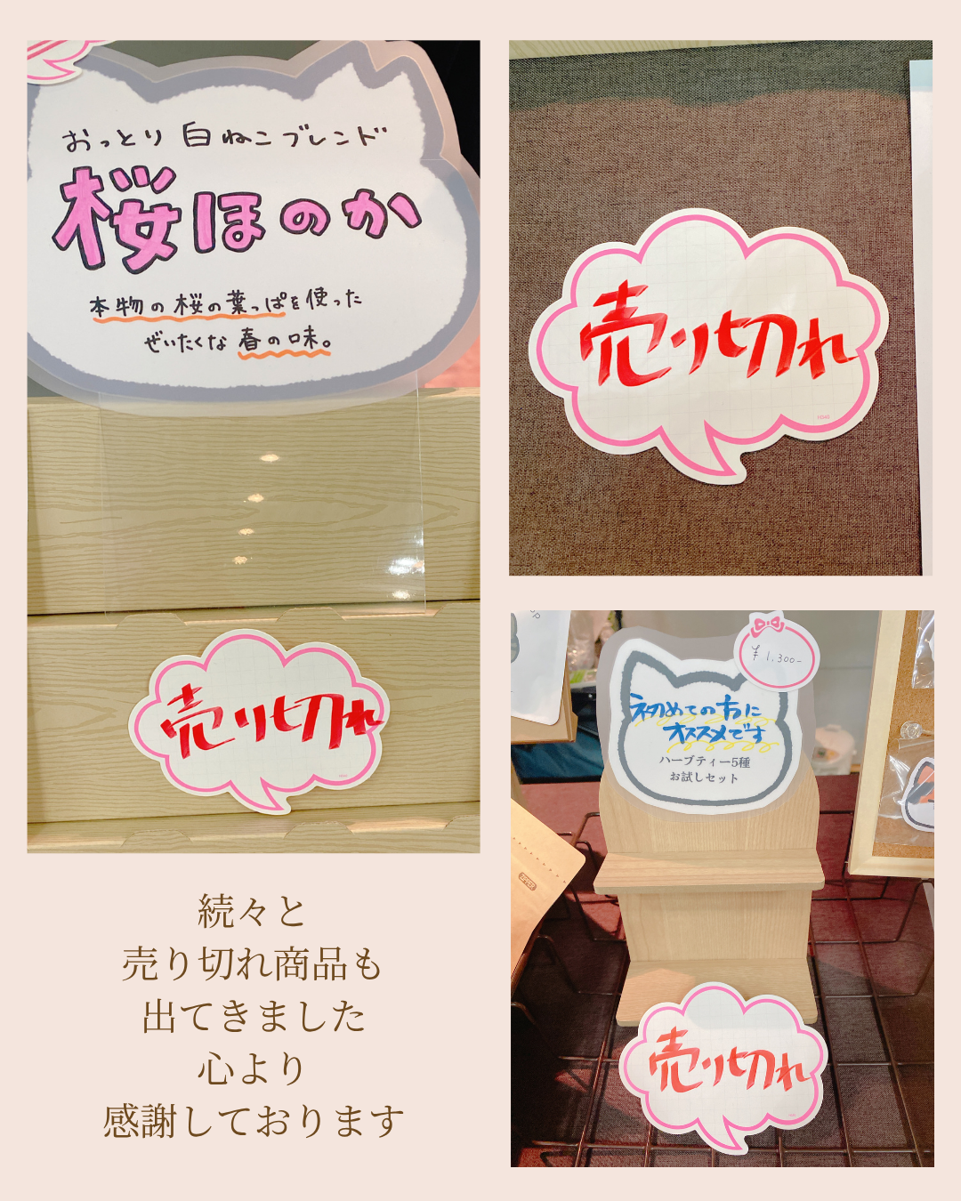 人気のハーブティー商品