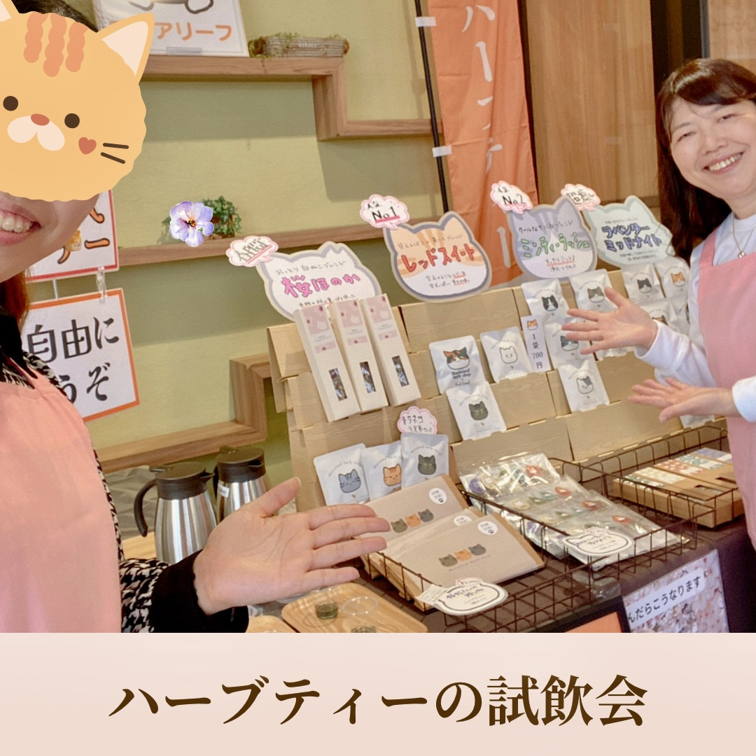 TSUTAYA佐大通り店 ハーブティー試飲会 開催レポ マリアリーフ