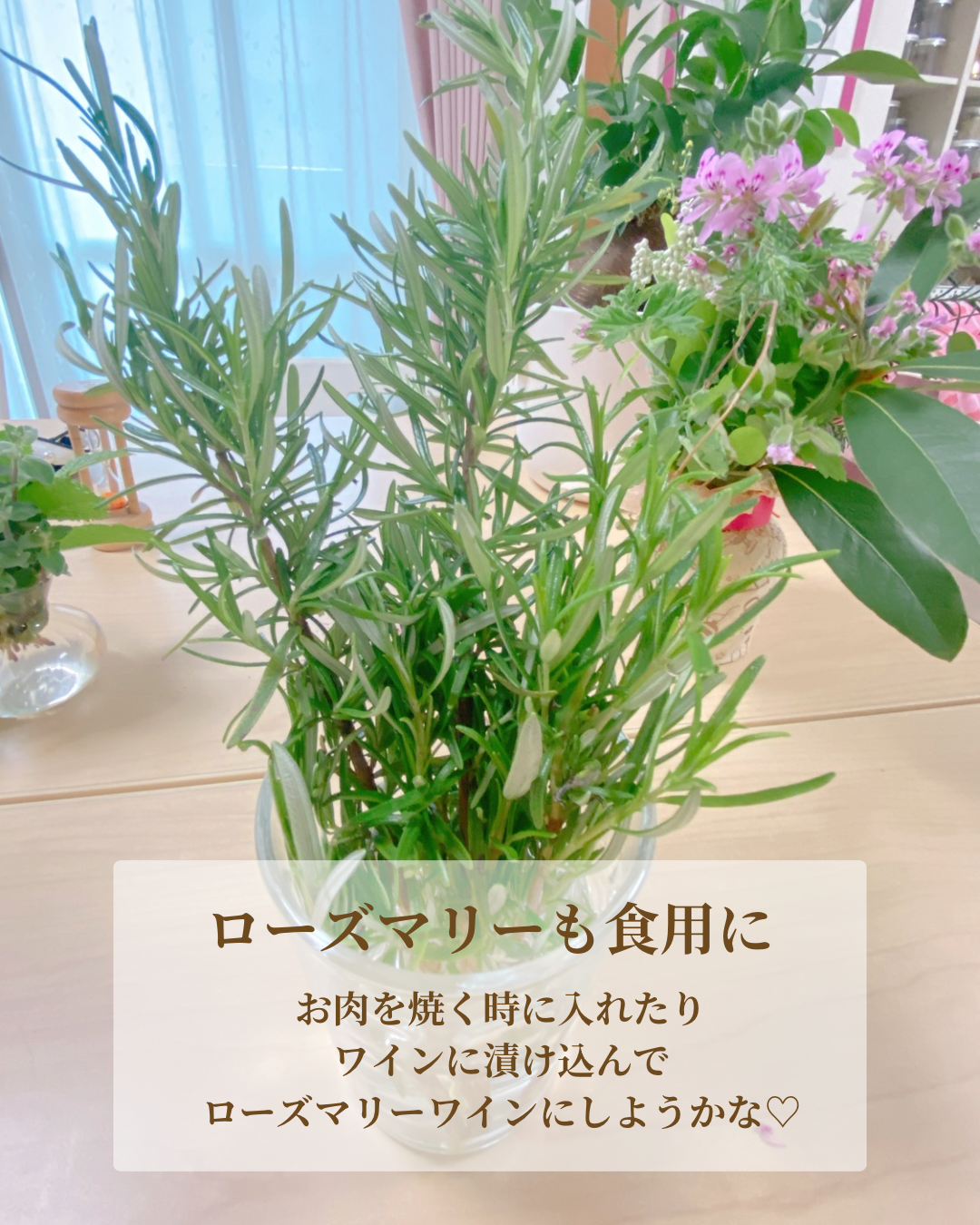 収穫したローズマリー