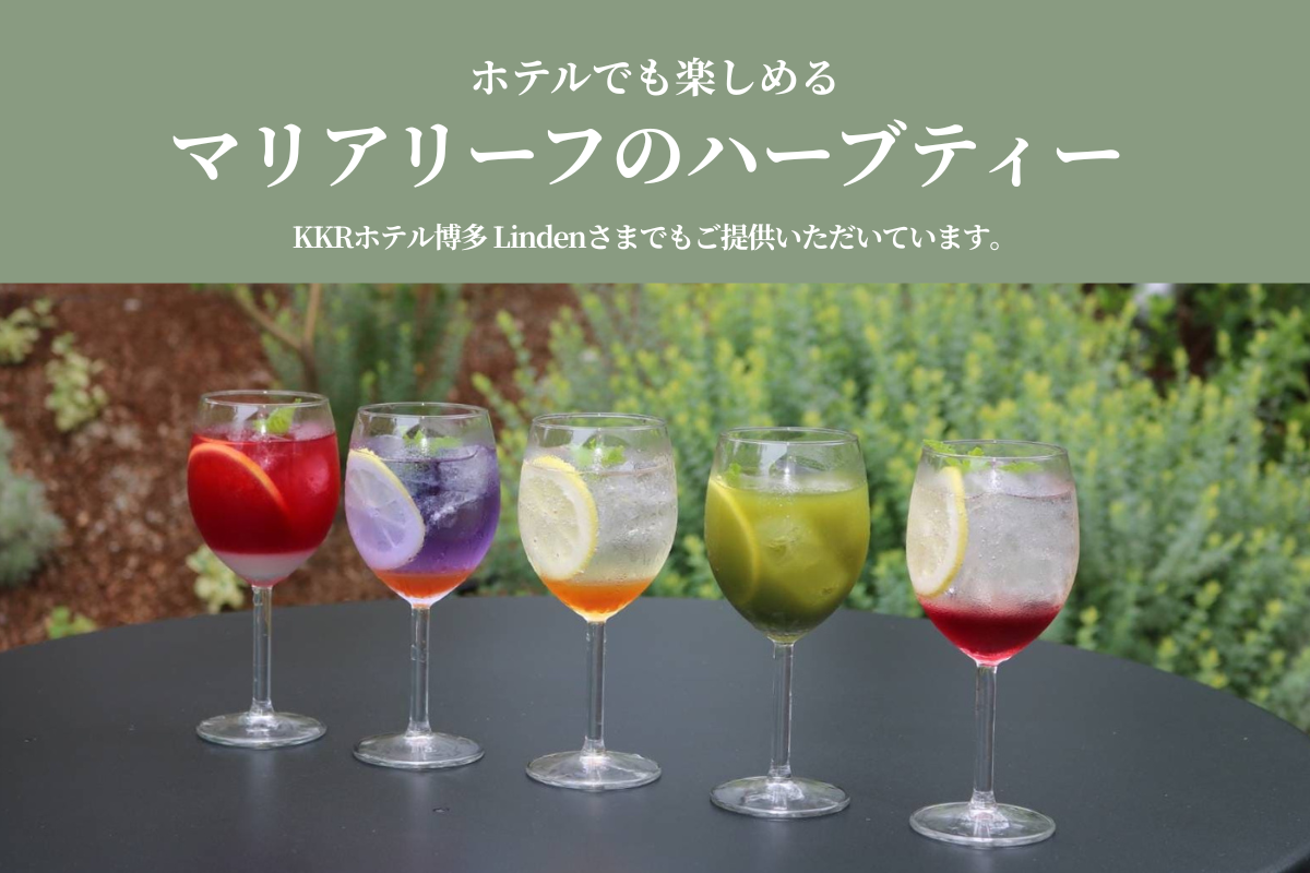 ホテルでも楽しめるマリアリーフのハーブティー