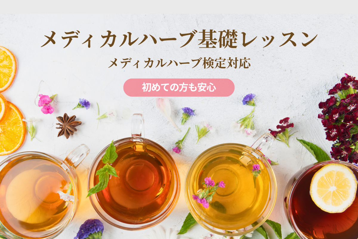 メディカルハーブ基礎レッスン