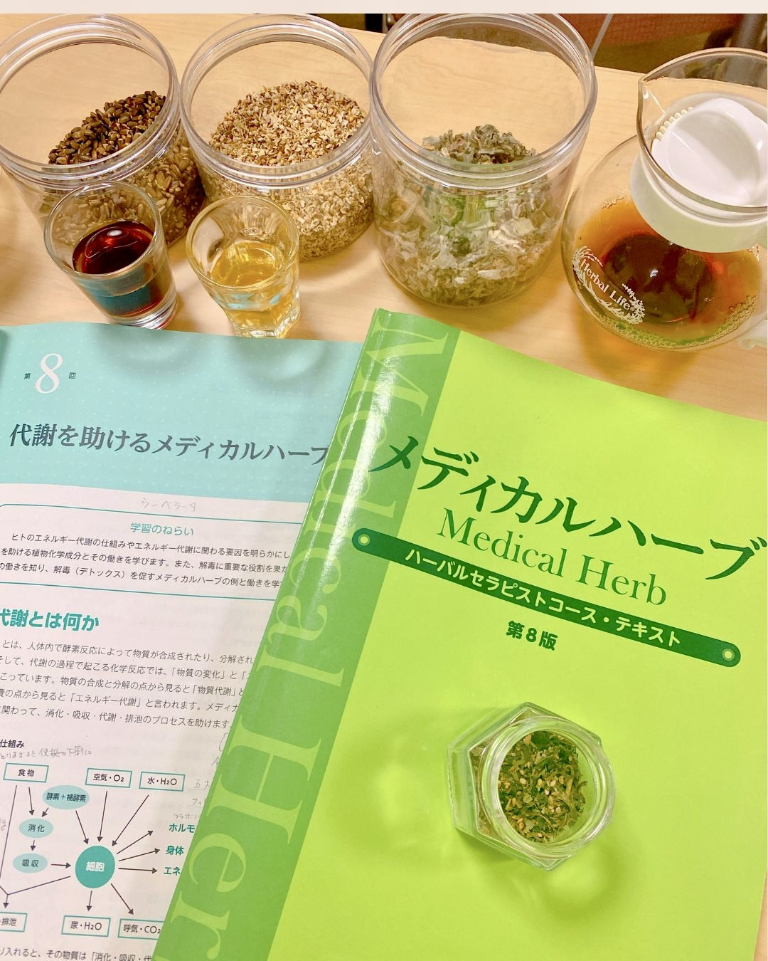 ミルクシスルなど肝臓をいたわるハーブ