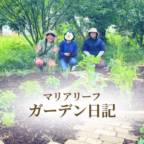 【ガーデン日記】草取りとチップで雑草対策｜糸島のマリアリーフガーデン
