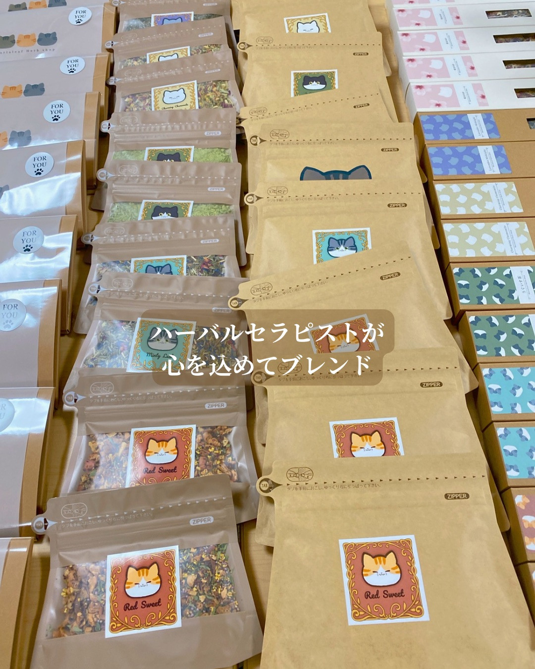 アクロスモール春日の積文館書店に並ぶねこじるしハーブ