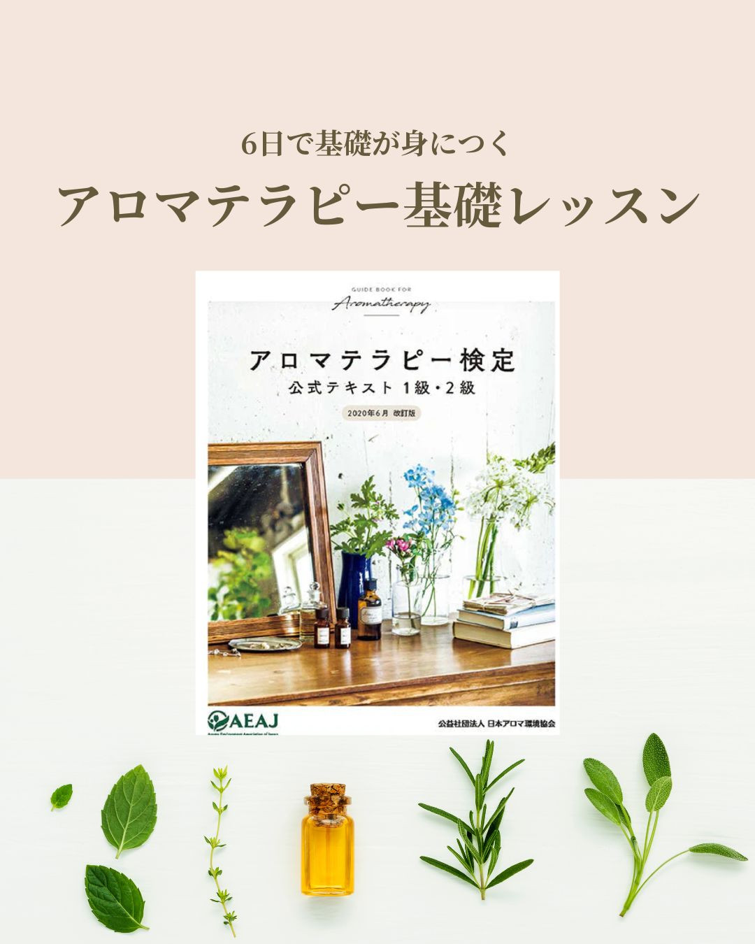 アロマテラピー基礎レッスンの学びと実習