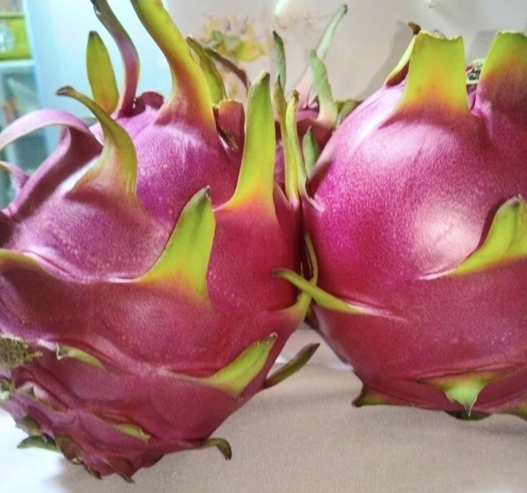 徳之島から届いたドラゴンフルーツ
