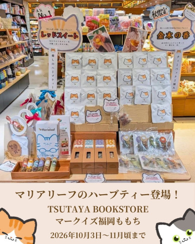 【ショップ日記】TSUTAYA マークイズ福岡ももち販売のお知らせ | マリアリーフのハーブティー