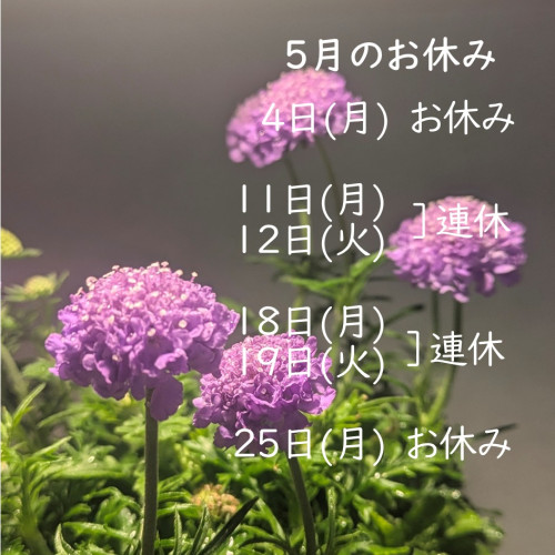 2026年5月お休み.jpg