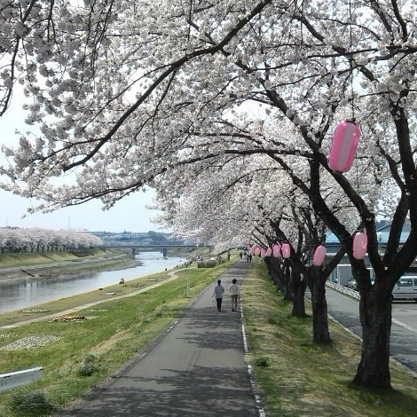 春　釈迦堂川