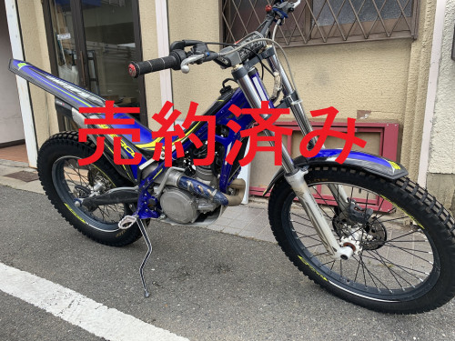 IMG_0971.JPEG