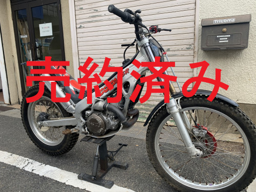 IMG_2509.JPEG