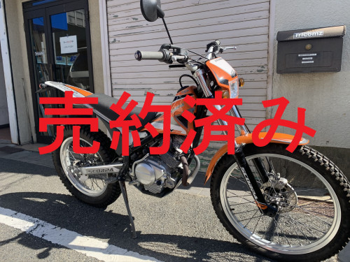 IMG_2316.JPEG