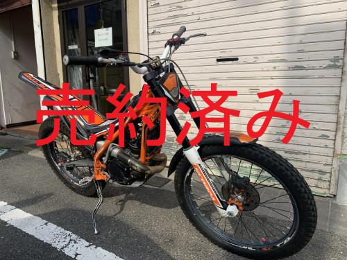 IMG_4240.JPEG