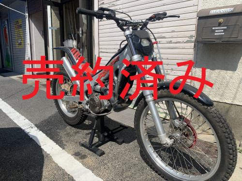 IMG_4224.JPEG