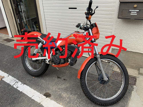 IMG_5163.JPEG