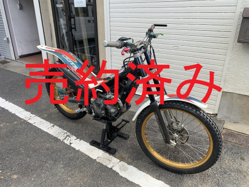 IMG_6434.JPEG